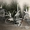 Sea Ornaments