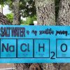 56F592C8-E329-4C07-AC71-B87670679A18 Saltwater my scientific Journey