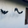 image6 Bats and Ghost Hangers 7