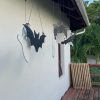 image9 Bats and Ghost Hangers 7